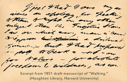Manuscript page from "Walking," by HD Thoreau
